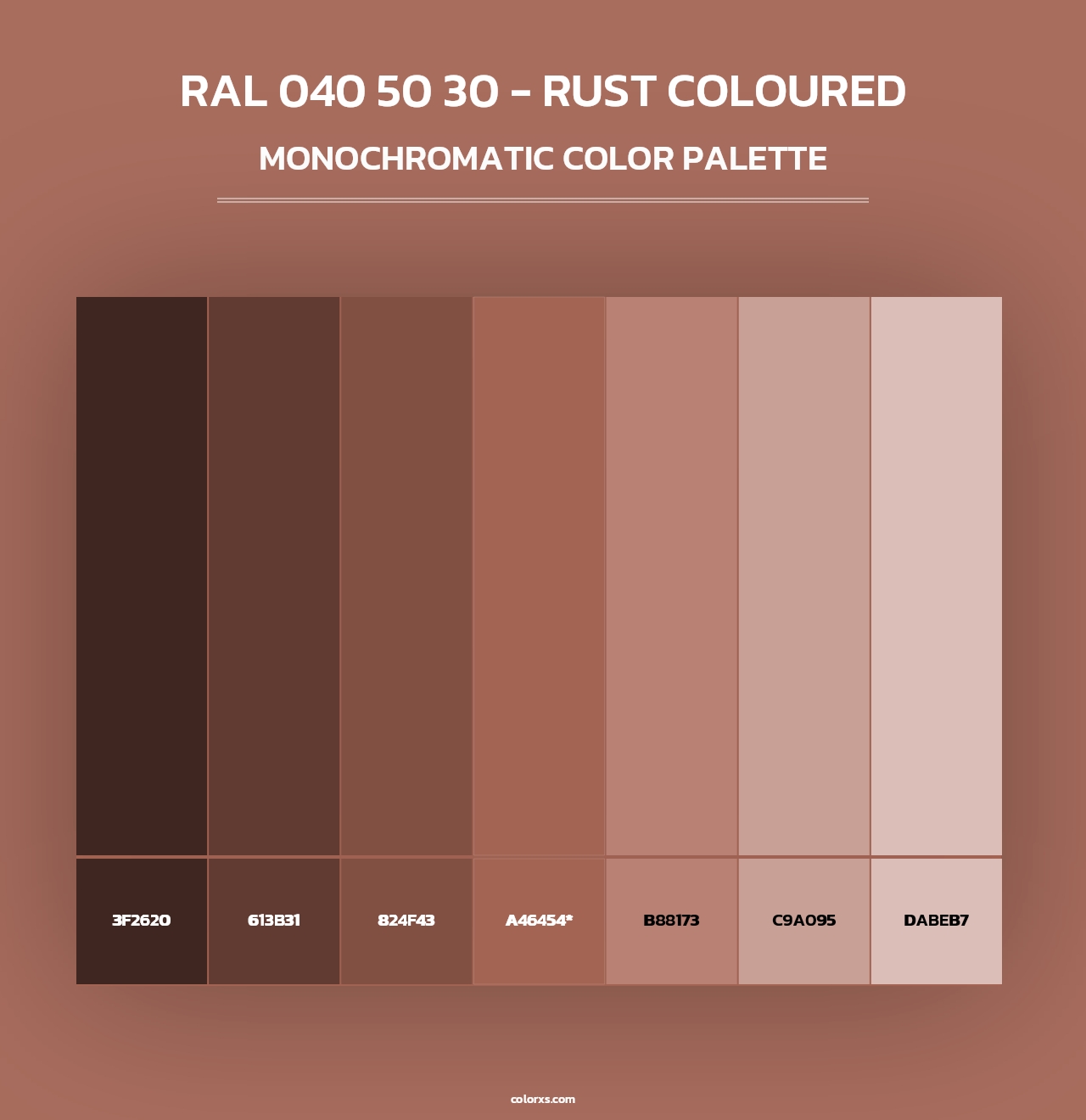 RAL 040 50 30 - Rust Coloured - Monochromatic Color Palette