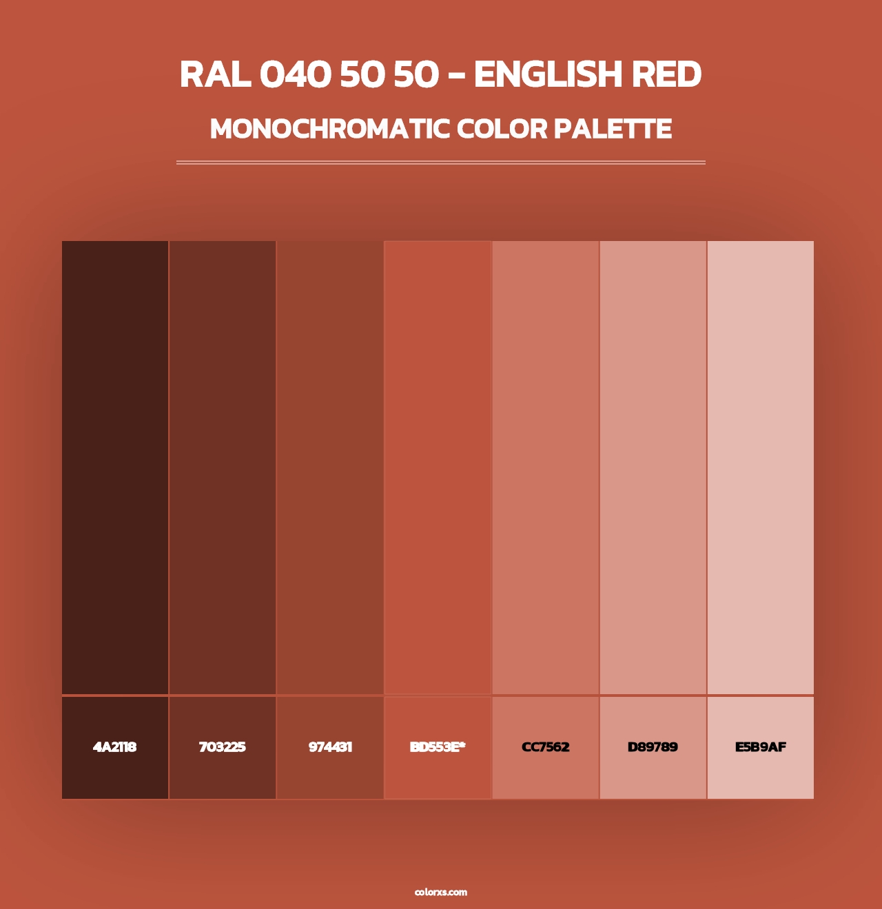 RAL 040 50 50 - English Red - Monochromatic Color Palette