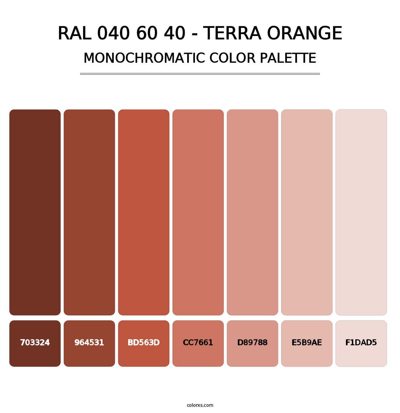 RAL 040 60 40 - Terra Orange - Monochromatic Color Palette