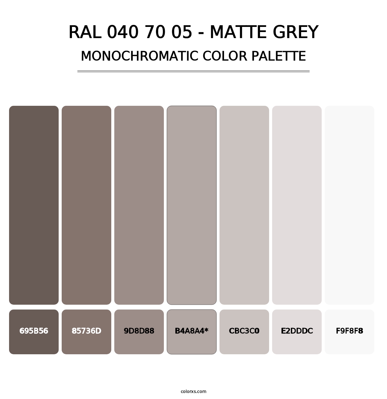 RAL 040 70 05 - Matte Grey - Monochromatic Color Palette