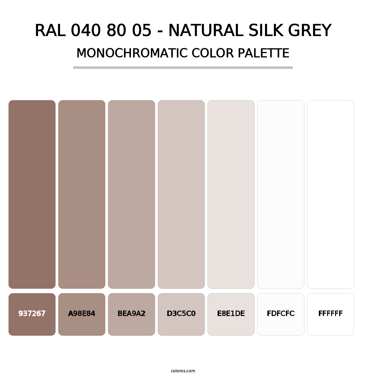 RAL 040 80 05 - Natural Silk Grey - Monochromatic Color Palette