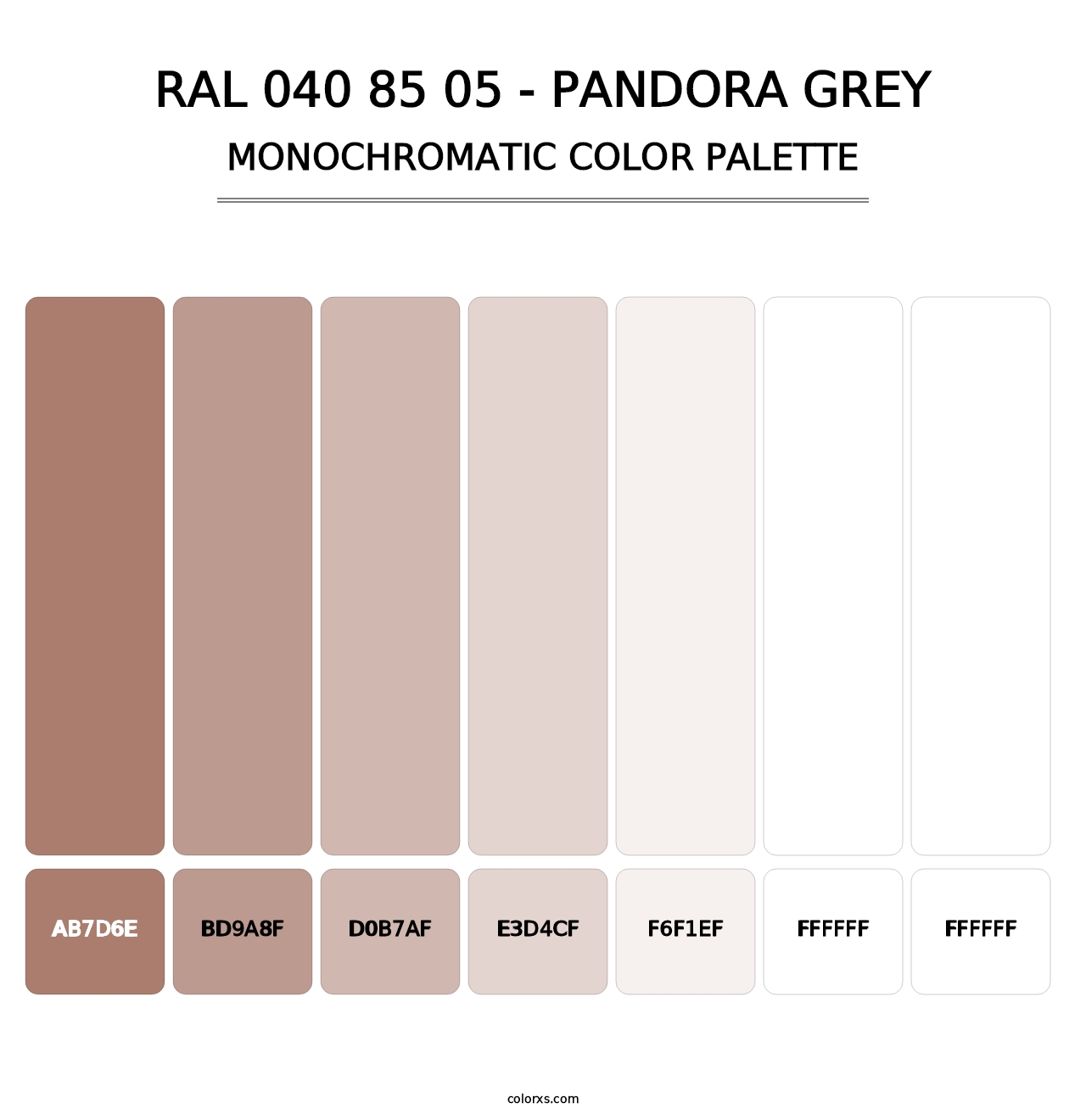 RAL 040 85 05 - Pandora Grey - Monochromatic Color Palette