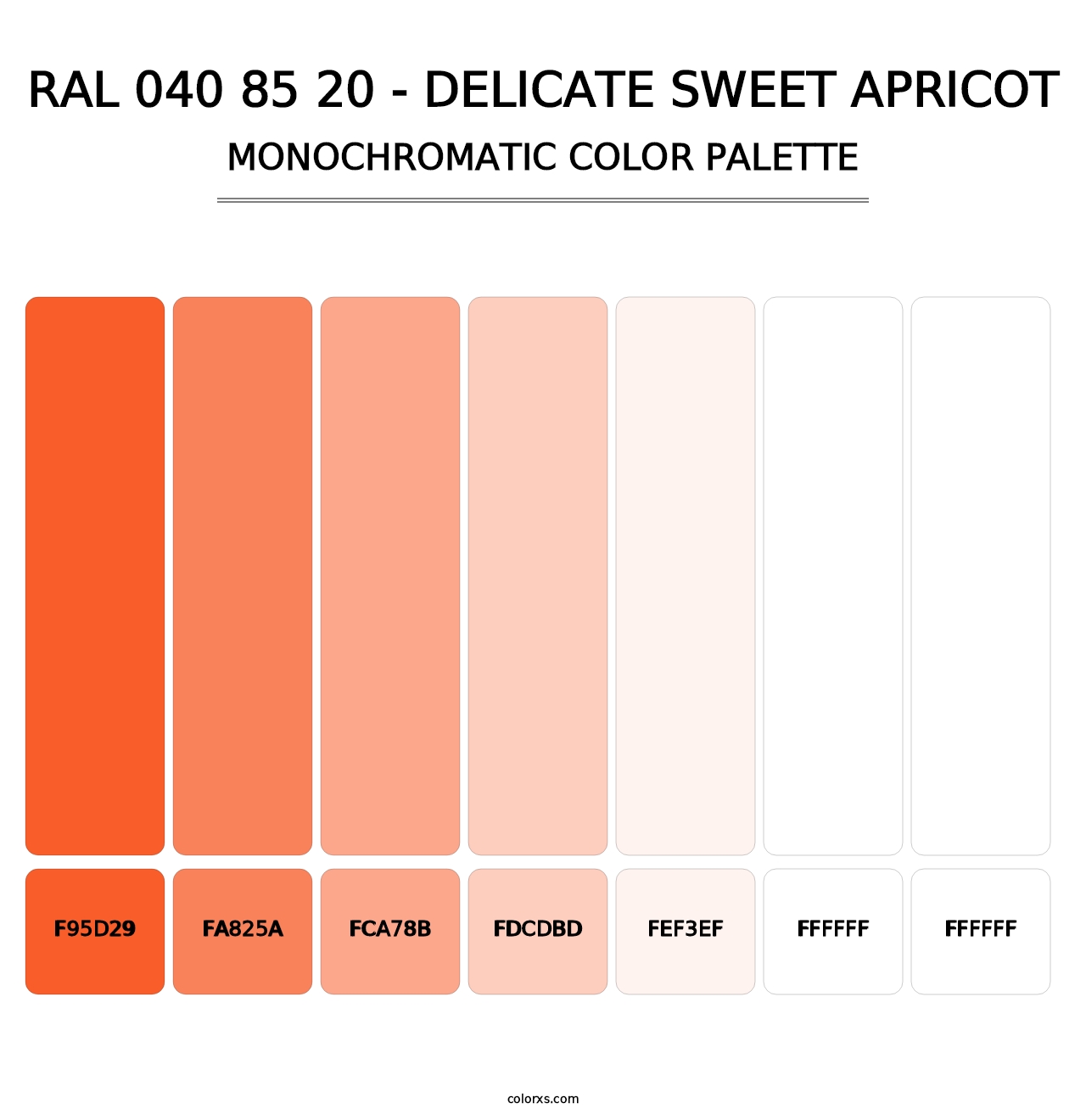 RAL 040 85 20 - Delicate Sweet Apricot - Monochromatic Color Palette