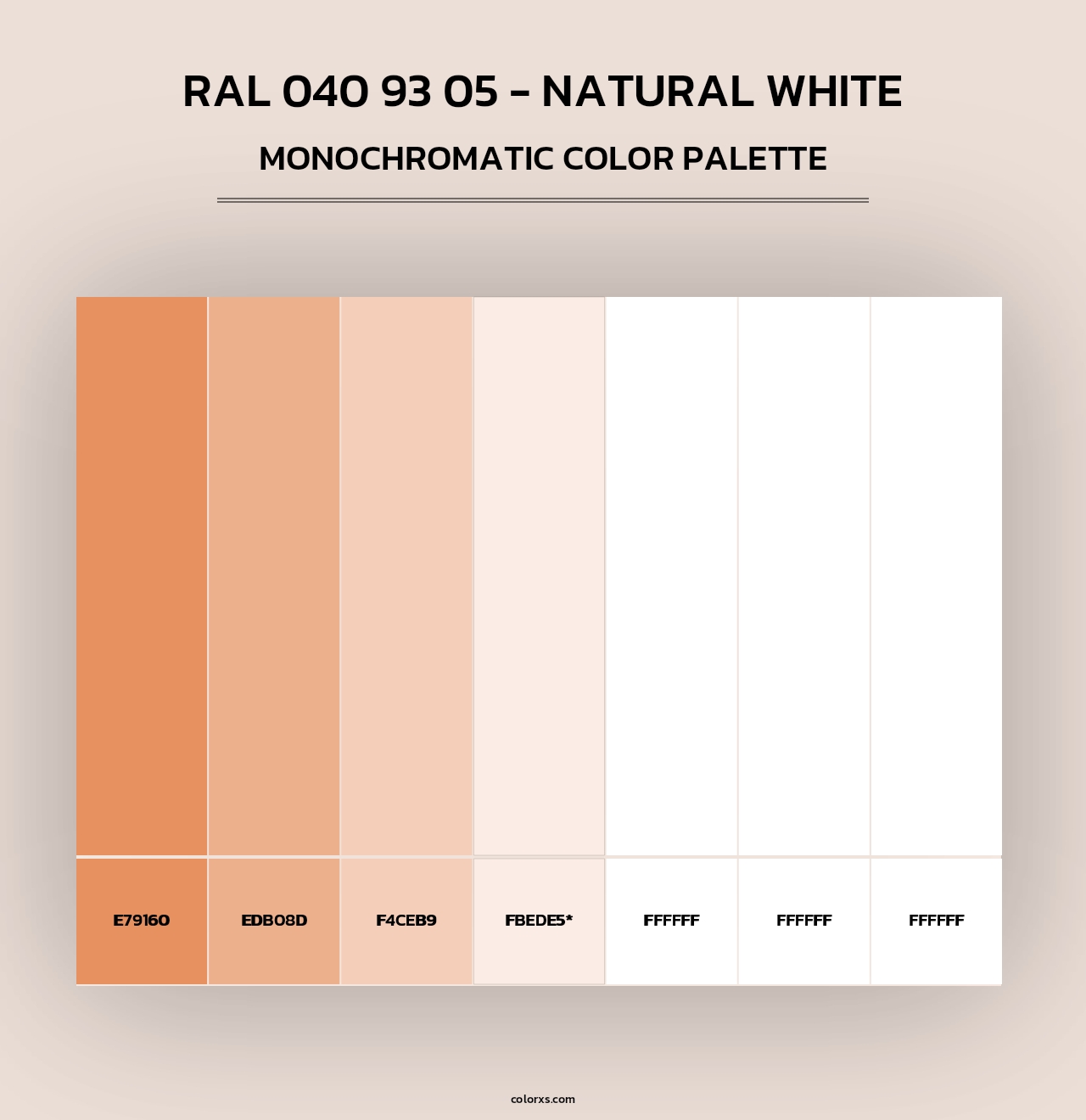 RAL 040 93 05 - Natural White - Monochromatic Color Palette