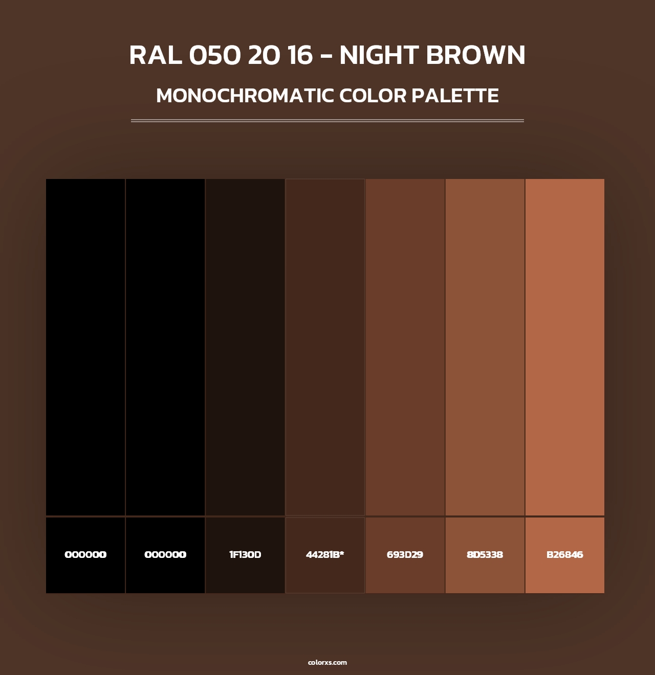 RAL 050 20 16 - Night Brown - Monochromatic Color Palette