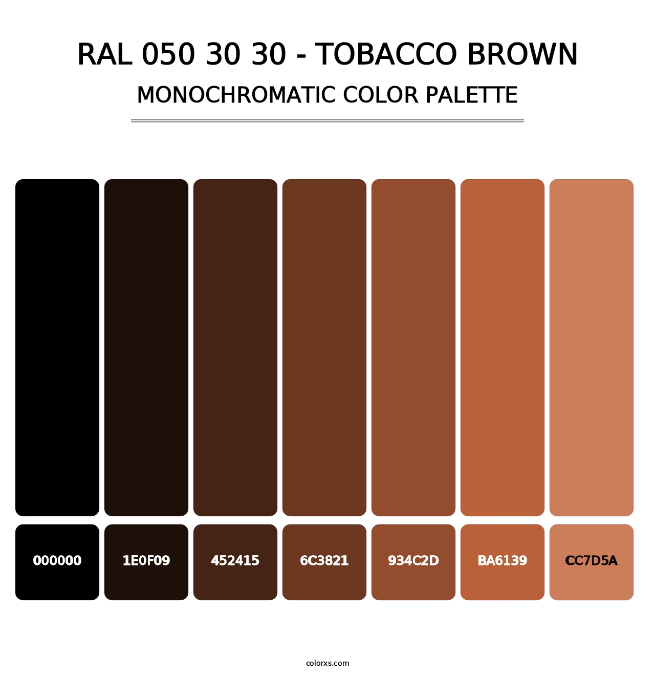 RAL 050 30 30 - Tobacco Brown - Monochromatic Color Palette