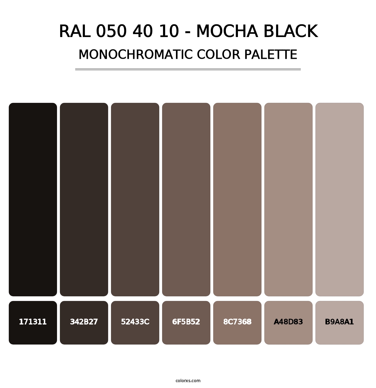 RAL 050 40 10 - Mocha Black - Monochromatic Color Palette