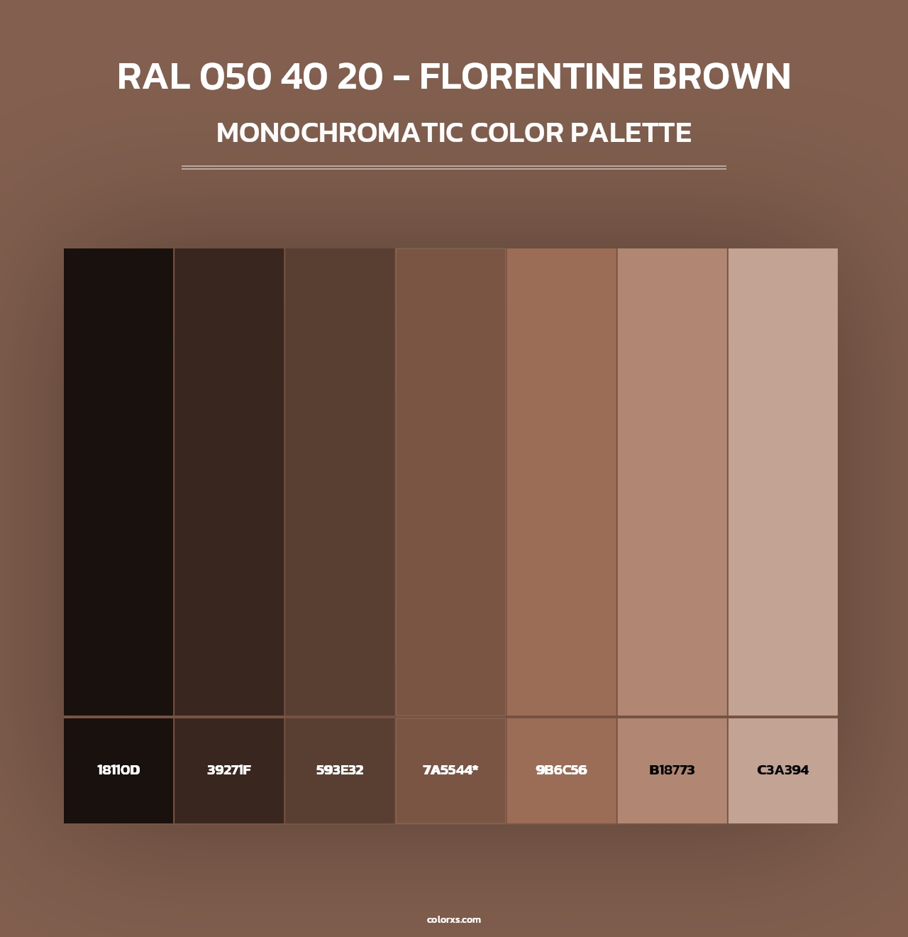 RAL 050 40 20 - Florentine Brown - Monochromatic Color Palette
