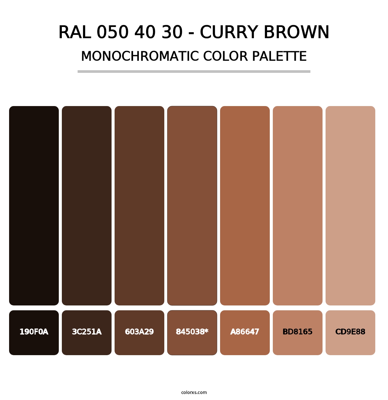 RAL 050 40 30 - Curry Brown - Monochromatic Color Palette