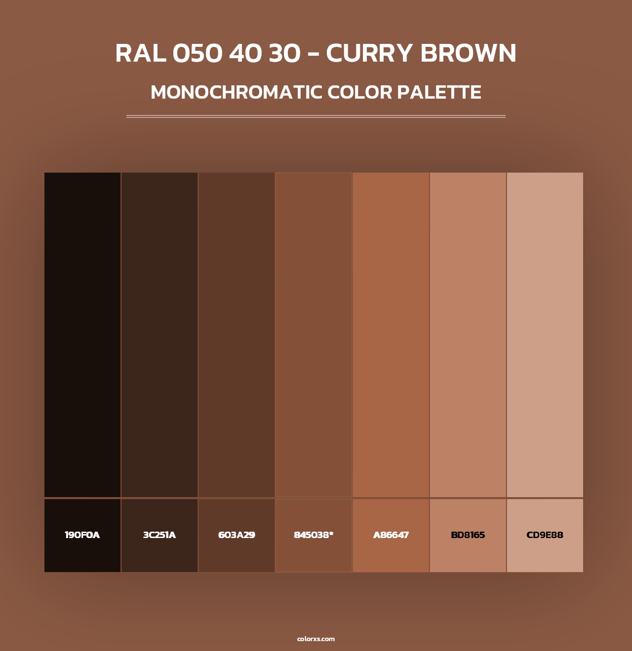 RAL 050 40 30 - Curry Brown - Monochromatic Color Palette