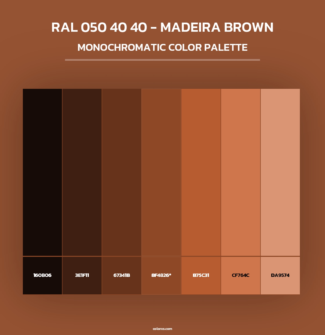 RAL 050 40 40 - Madeira Brown - Monochromatic Color Palette