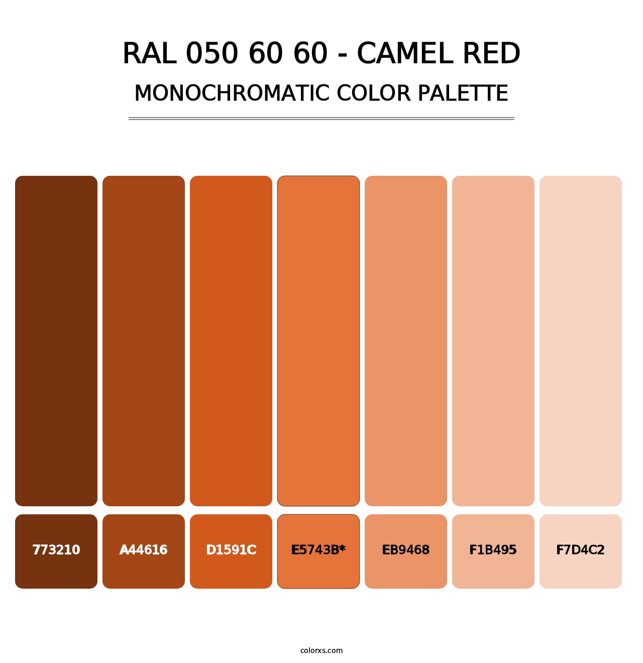 RAL 050 60 60 - Camel Red - Monochromatic Color Palette