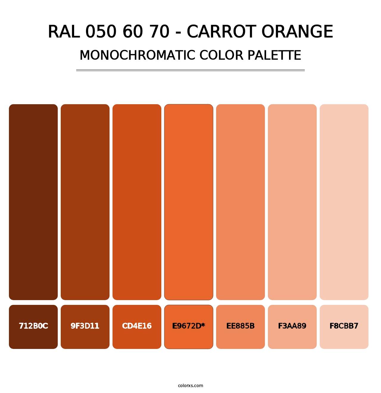 RAL 050 60 70 - Carrot Orange - Monochromatic Color Palette
