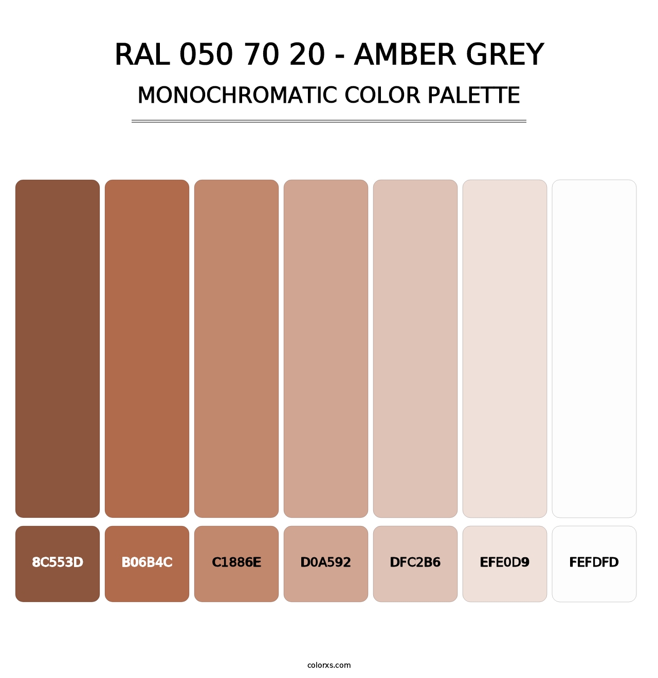 RAL 050 70 20 - Amber Grey - Monochromatic Color Palette
