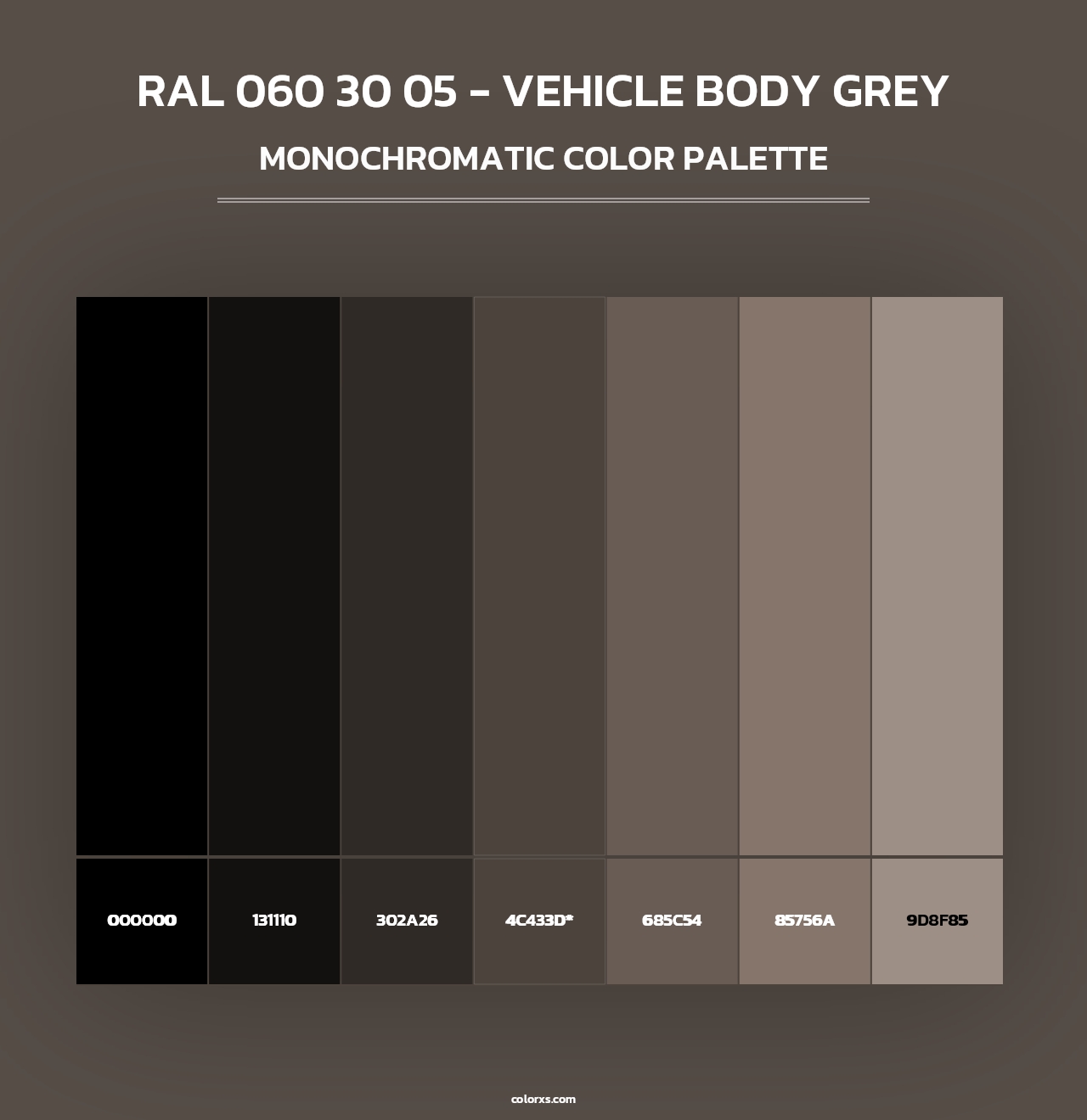 RAL 060 30 05 - Vehicle Body Grey - Monochromatic Color Palette
