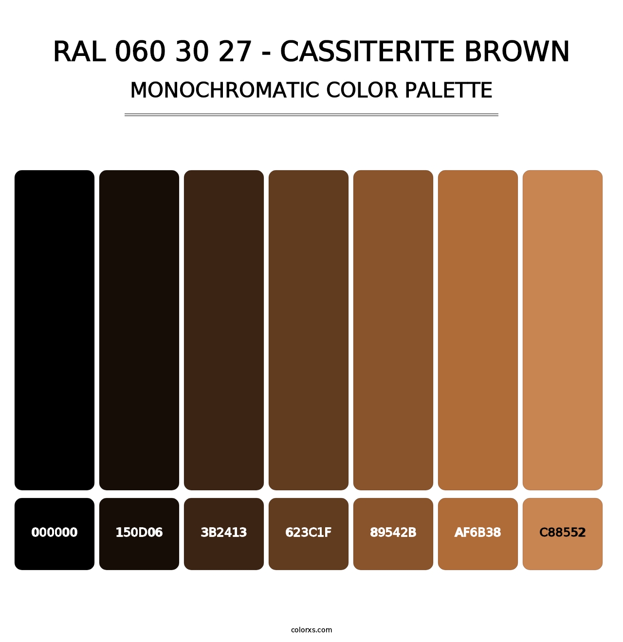 RAL 060 30 27 - Cassiterite Brown - Monochromatic Color Palette