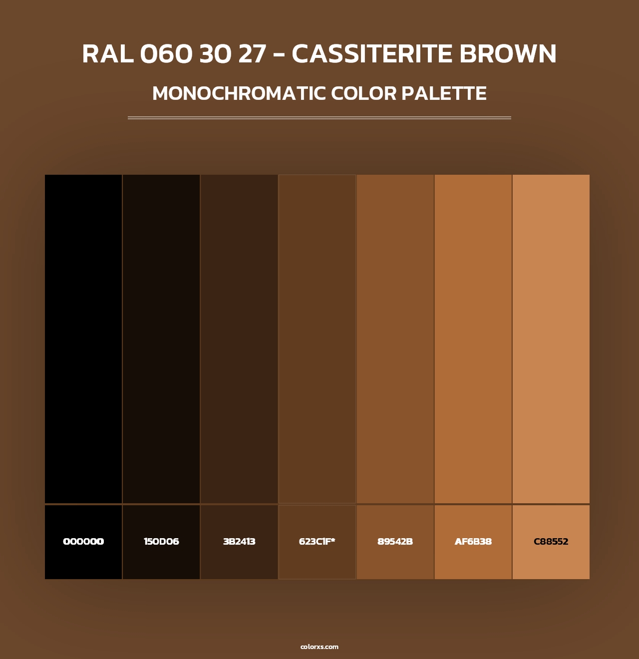 RAL 060 30 27 - Cassiterite Brown - Monochromatic Color Palette