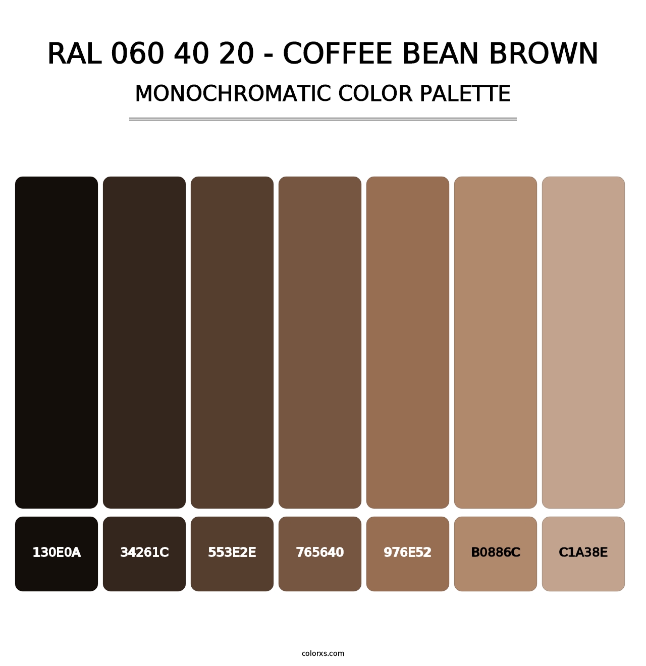 RAL 060 40 20 - Coffee Bean Brown - Monochromatic Color Palette