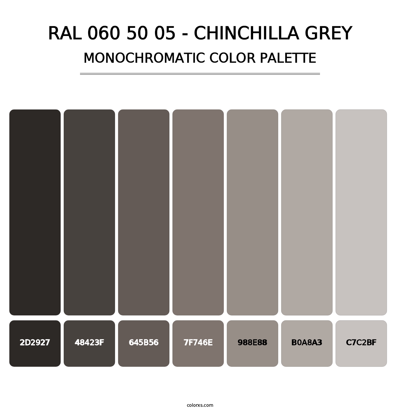 RAL 060 50 05 - Chinchilla Grey - Monochromatic Color Palette