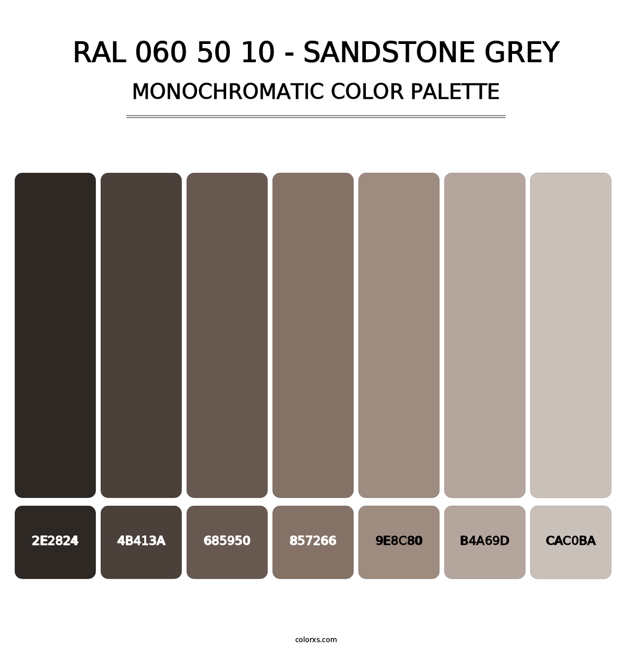 RAL 060 50 10 - Sandstone Grey - Monochromatic Color Palette