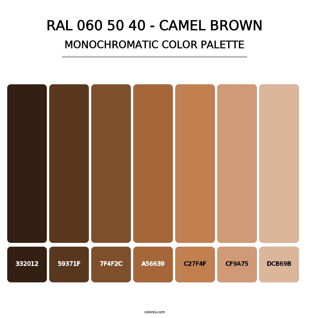RAL 060 50 40 - Camel Brown - Monochromatic Color Palette