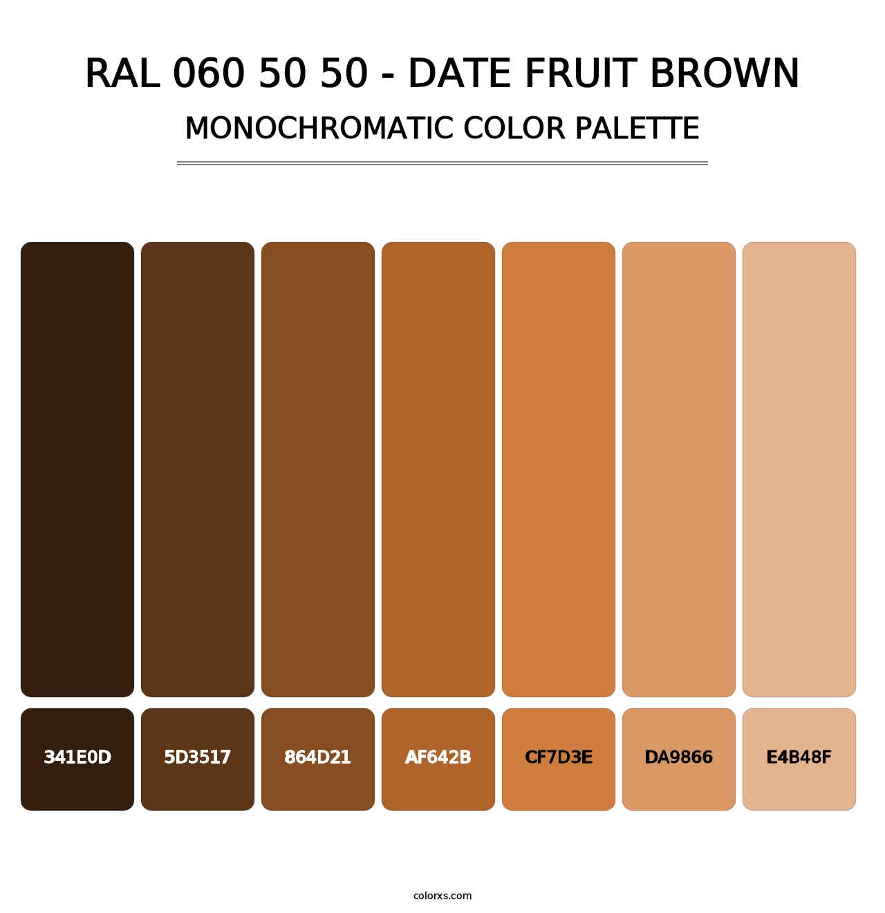 RAL 060 50 50 - Date Fruit Brown - Monochromatic Color Palette