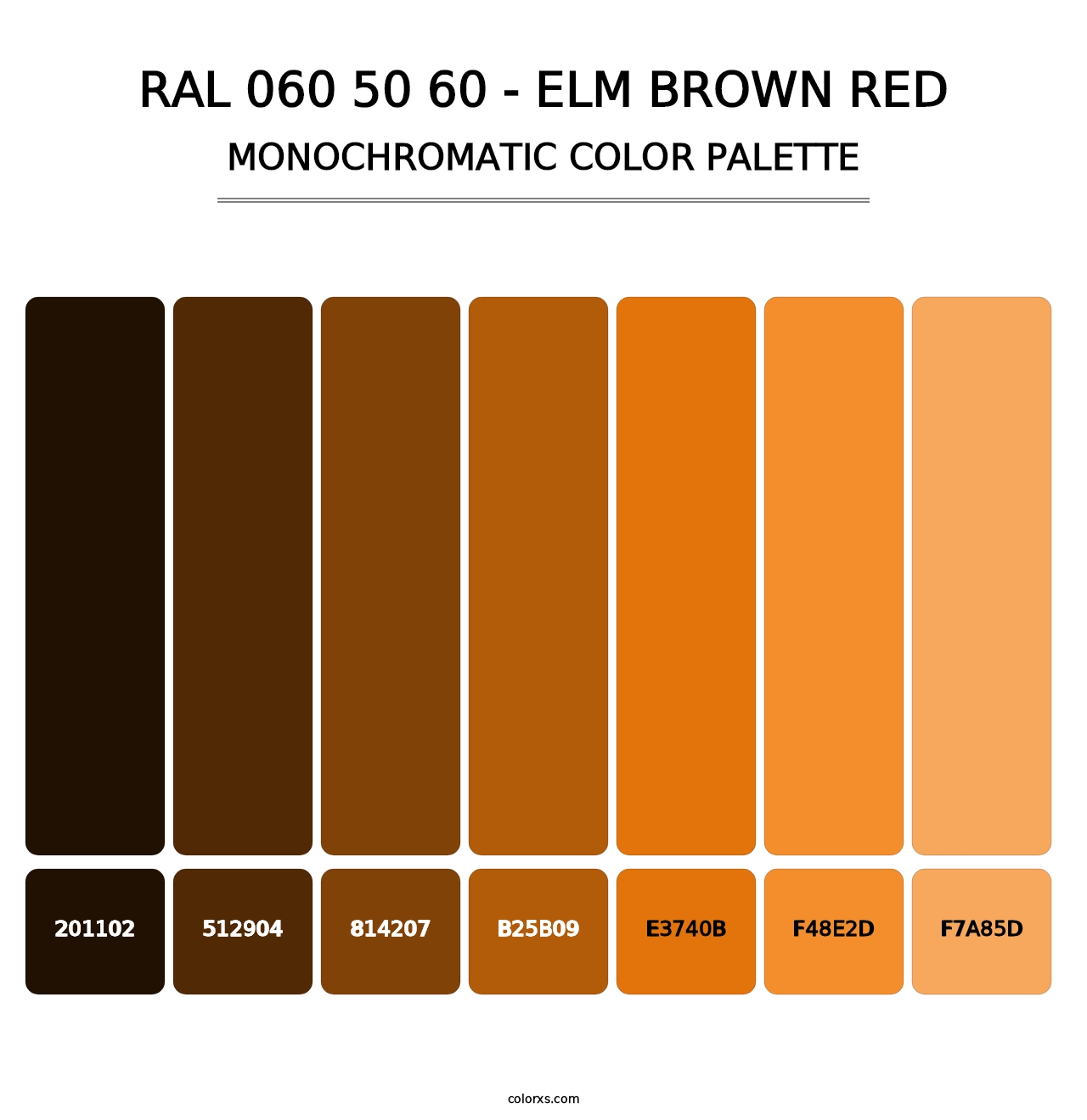 RAL 060 50 60 - Elm Brown Red - Monochromatic Color Palette