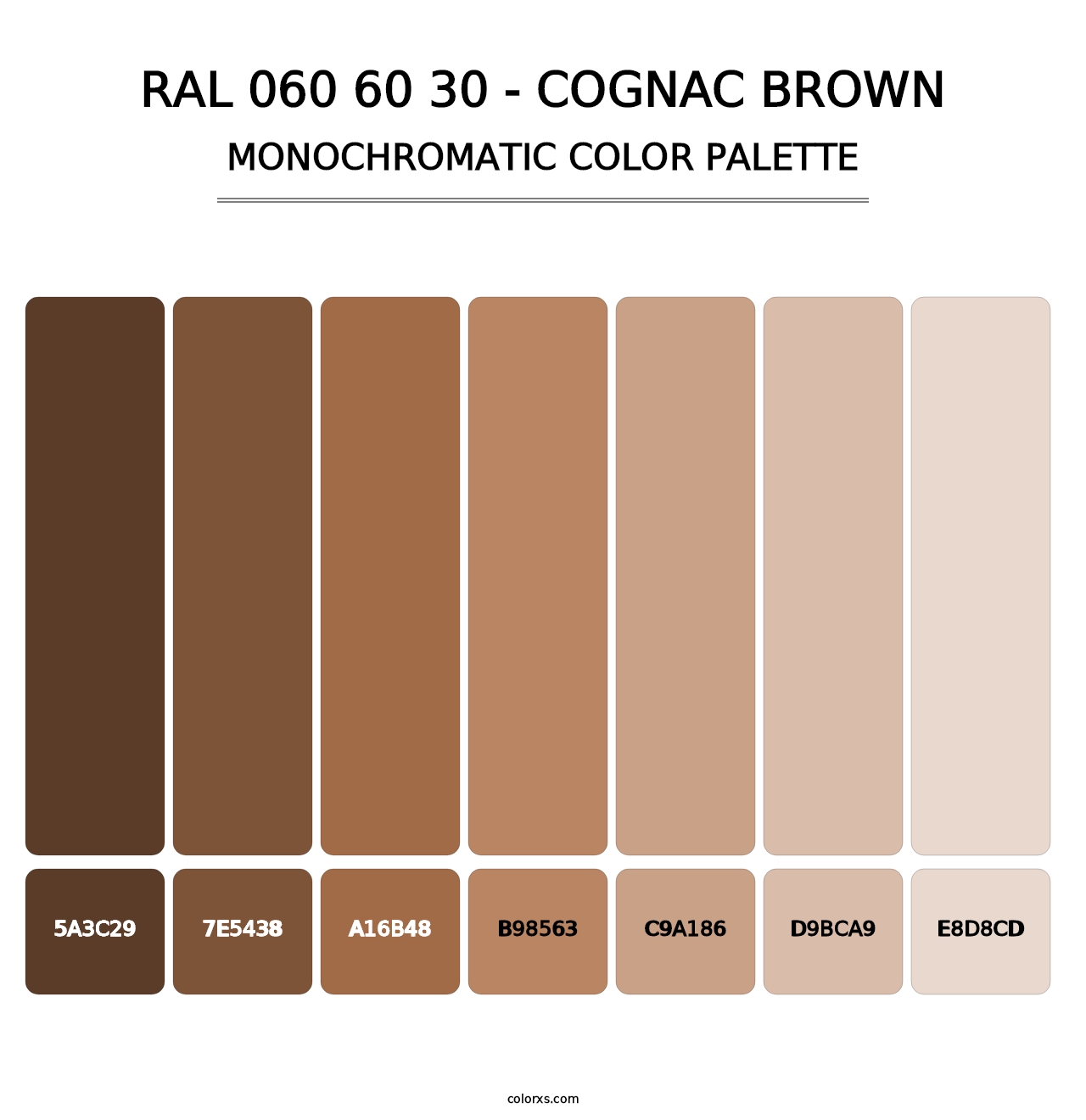 RAL 060 60 30 - Cognac Brown - Monochromatic Color Palette