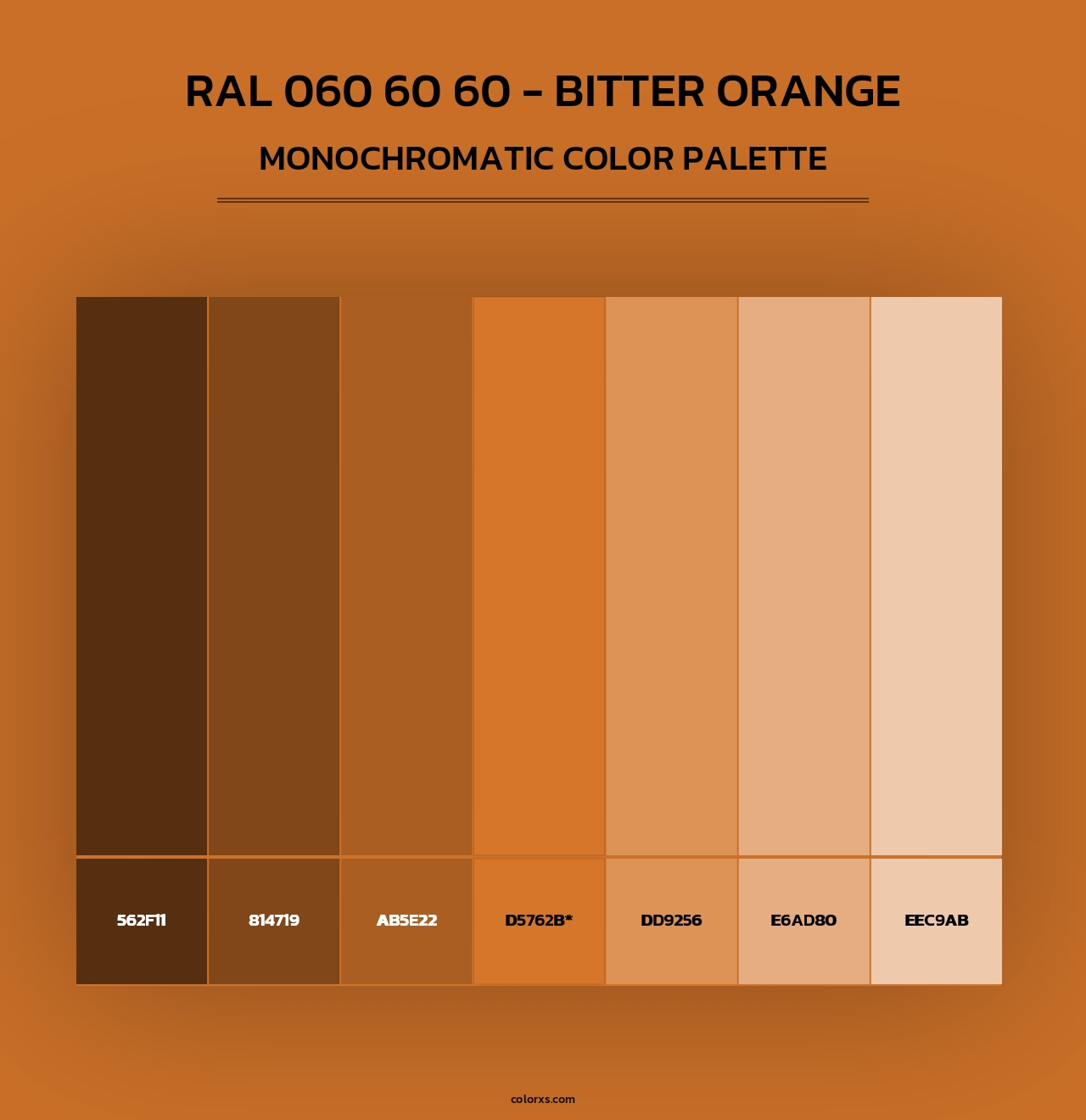 RAL 060 60 60 - Bitter Orange - Monochromatic Color Palette