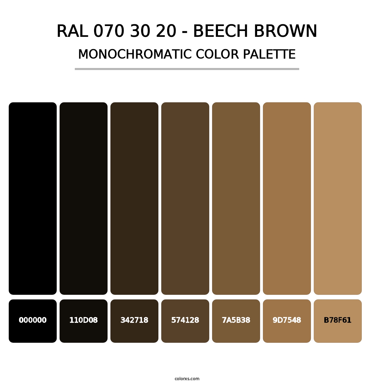 RAL 070 30 20 - Beech Brown - Monochromatic Color Palette