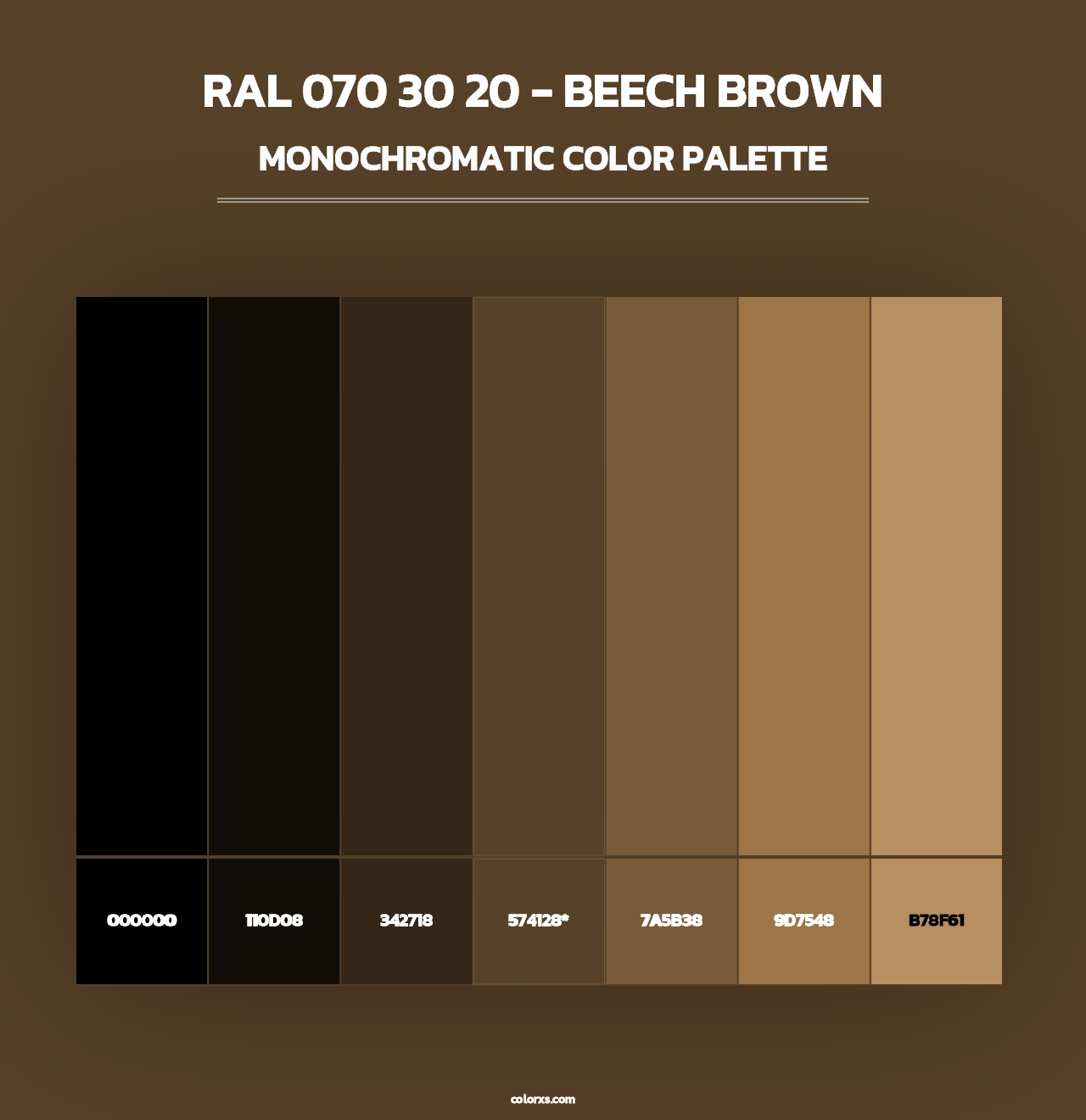 RAL 070 30 20 - Beech Brown - Monochromatic Color Palette