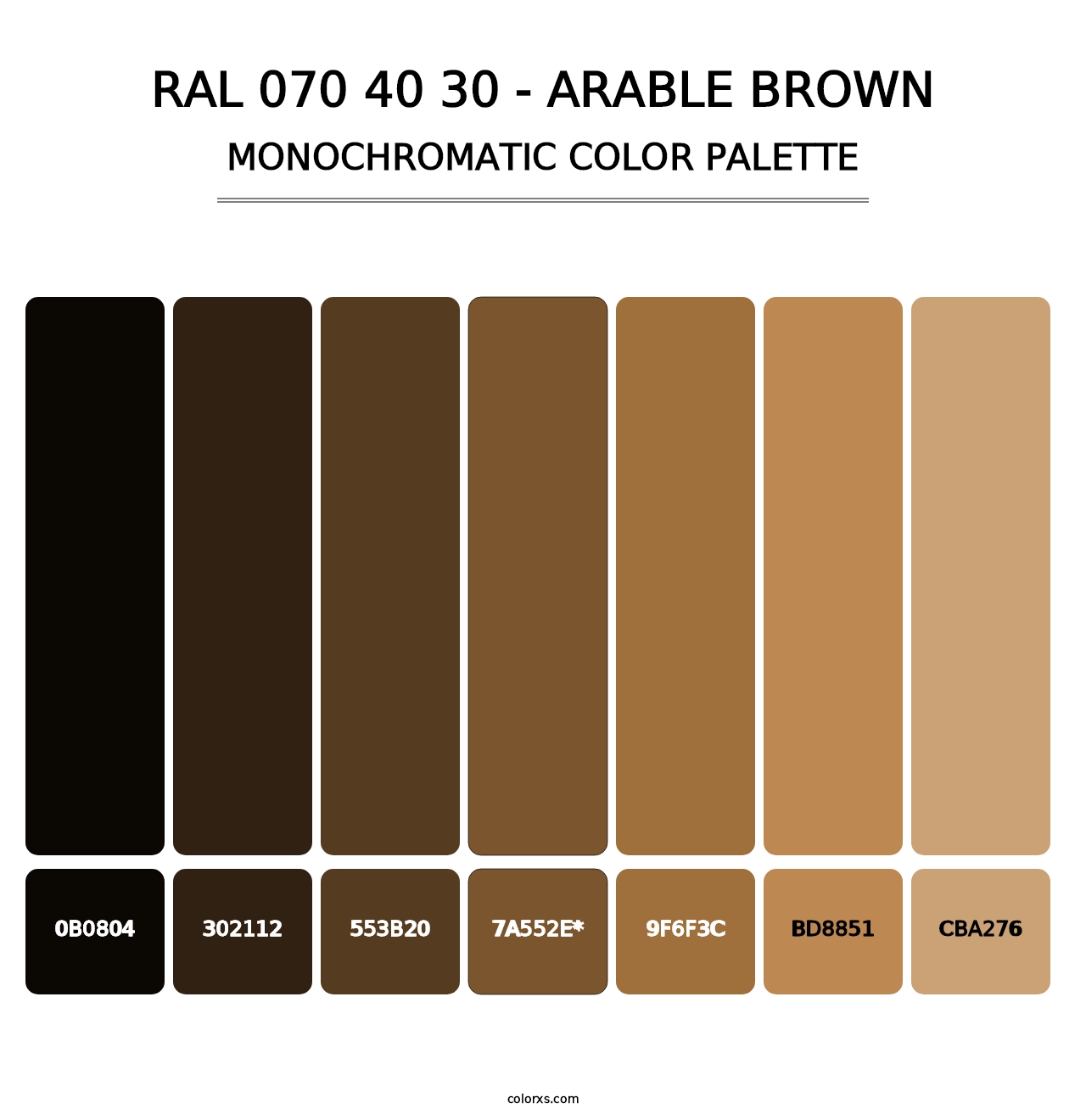 RAL 070 40 30 - Arable Brown - Monochromatic Color Palette
