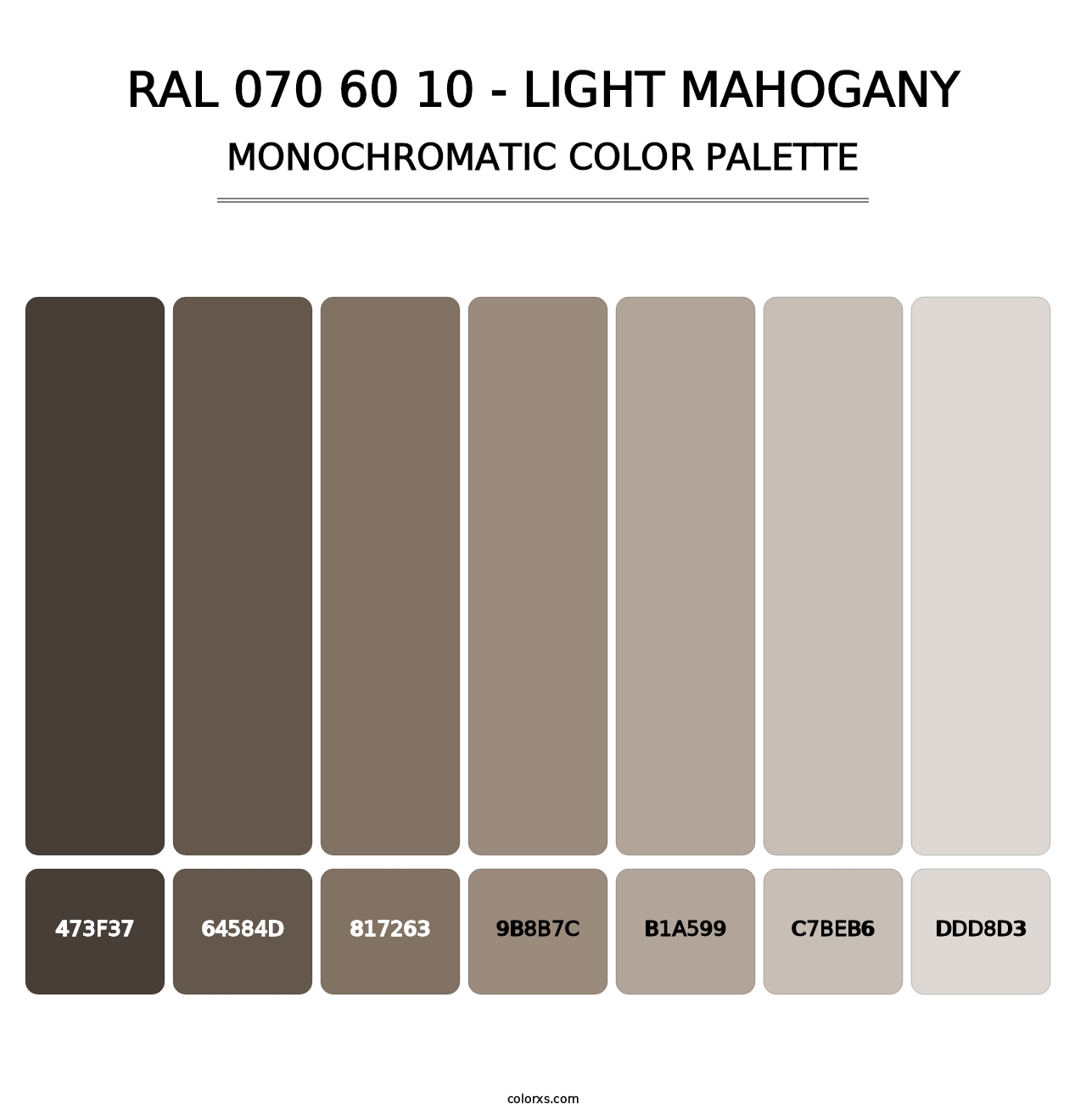 RAL 070 60 10 - Light Mahogany - Monochromatic Color Palette