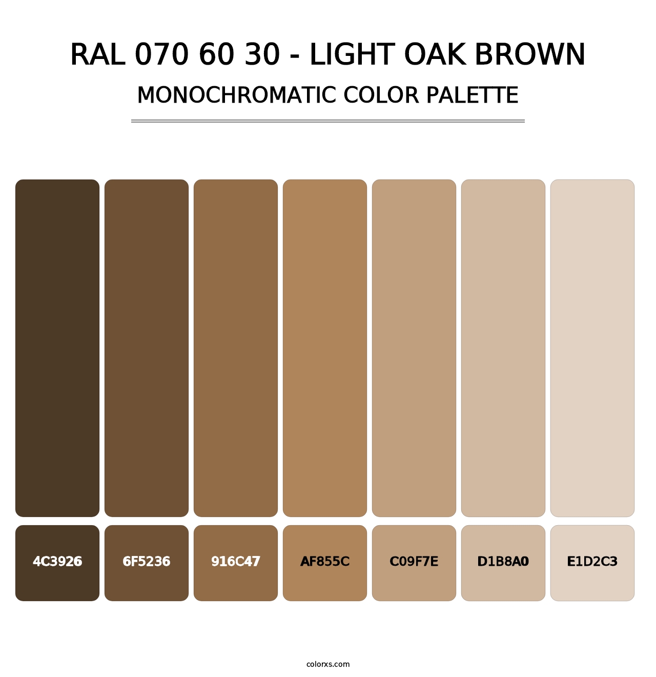 RAL 070 60 30 - Light Oak Brown - Monochromatic Color Palette