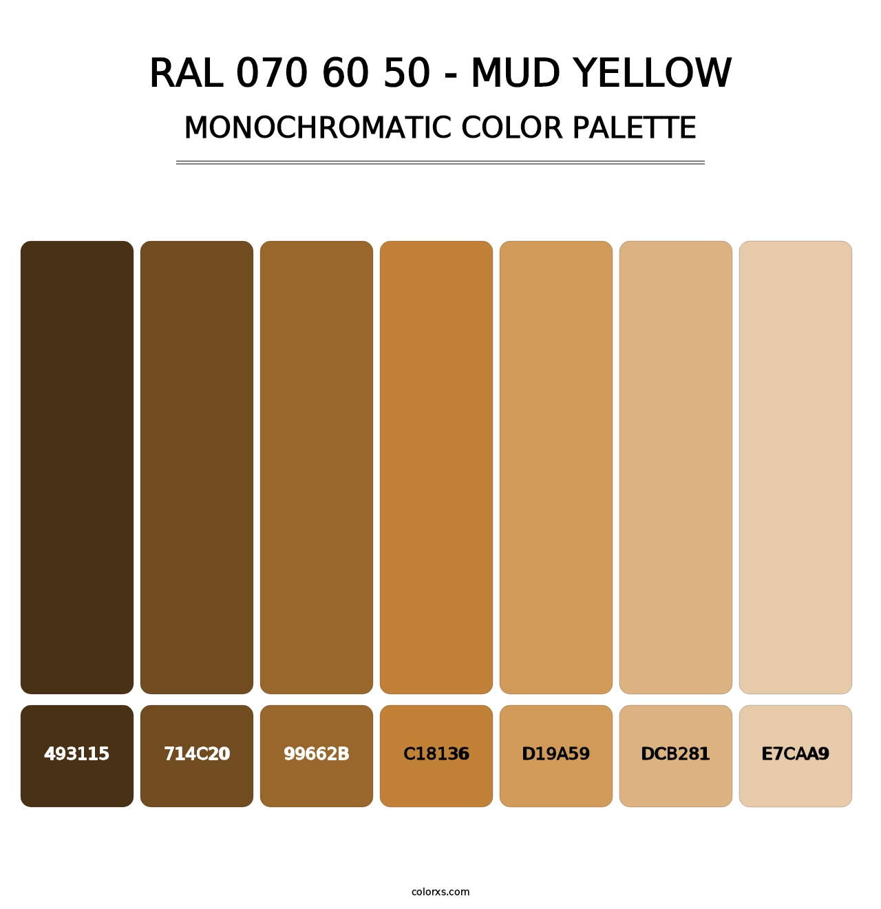 RAL 070 60 50 - Mud Yellow - Monochromatic Color Palette