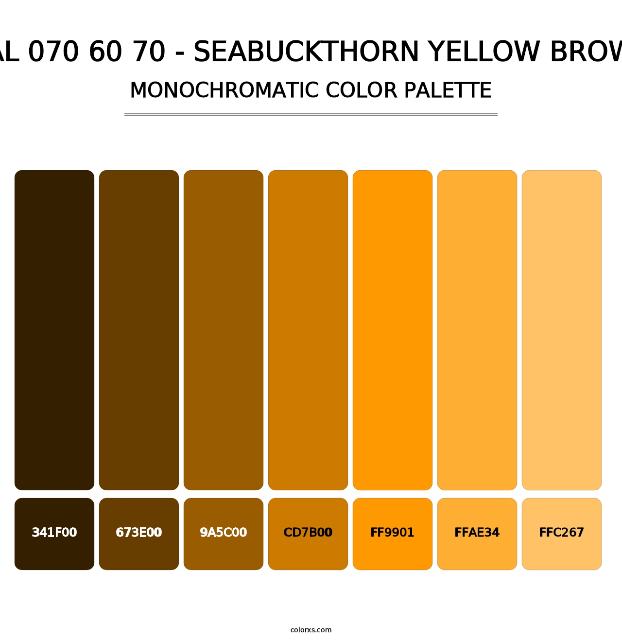 RAL 070 60 70 - Seabuckthorn Yellow Brown - Monochromatic Color Palette