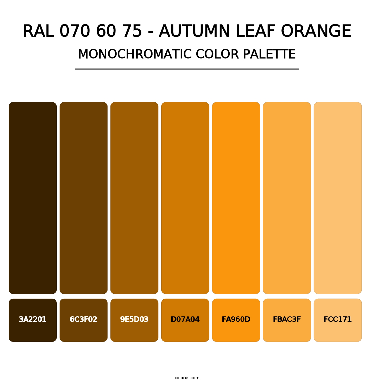 RAL 070 60 75 - Autumn Leaf Orange - Monochromatic Color Palette