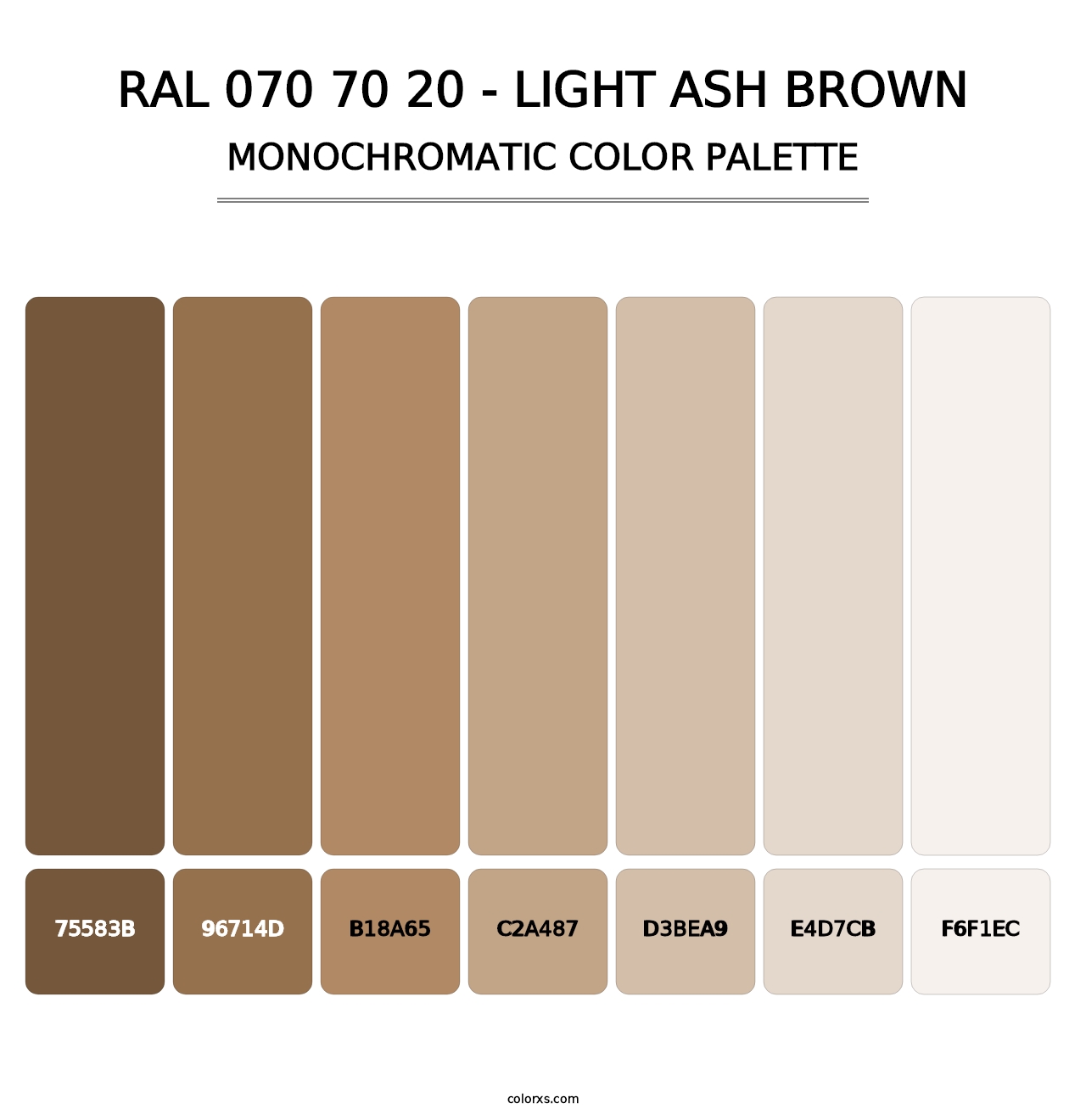 RAL 070 70 20 - Light Ash Brown - Monochromatic Color Palette