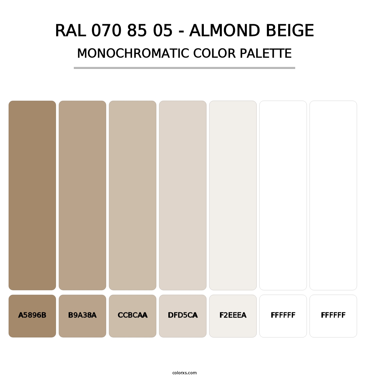RAL 070 85 05 - Almond Beige - Monochromatic Color Palette