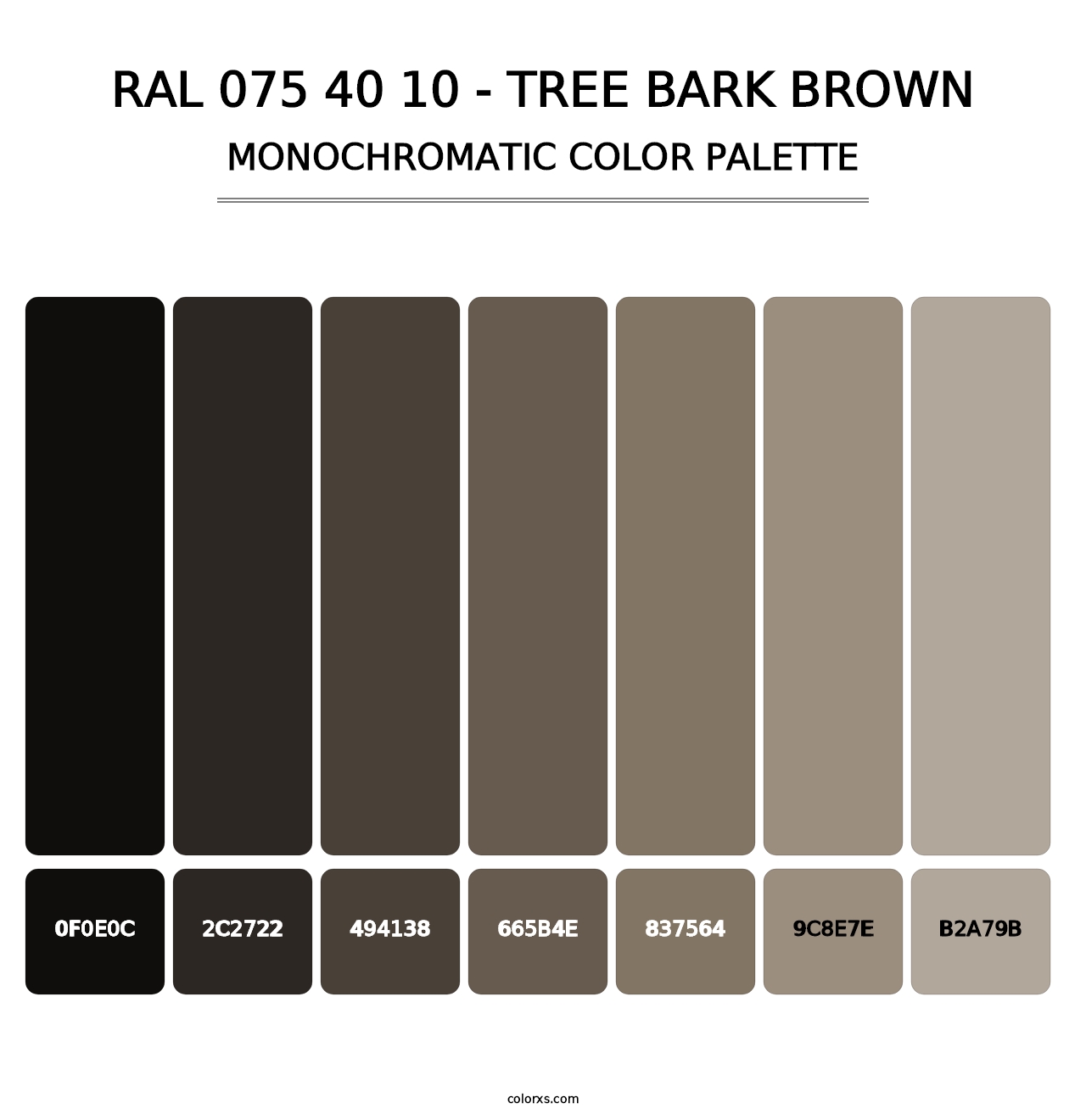 RAL 075 40 10 - Tree Bark Brown - Monochromatic Color Palette