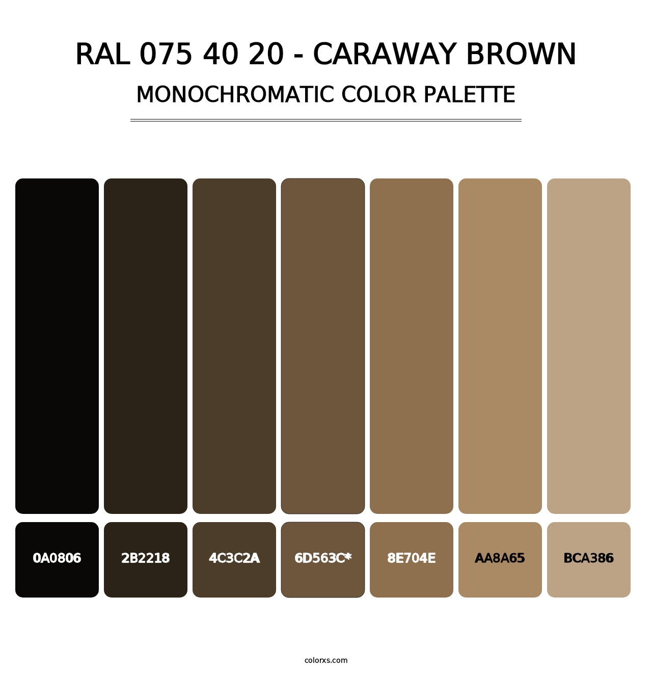 RAL 075 40 20 - Caraway Brown - Monochromatic Color Palette