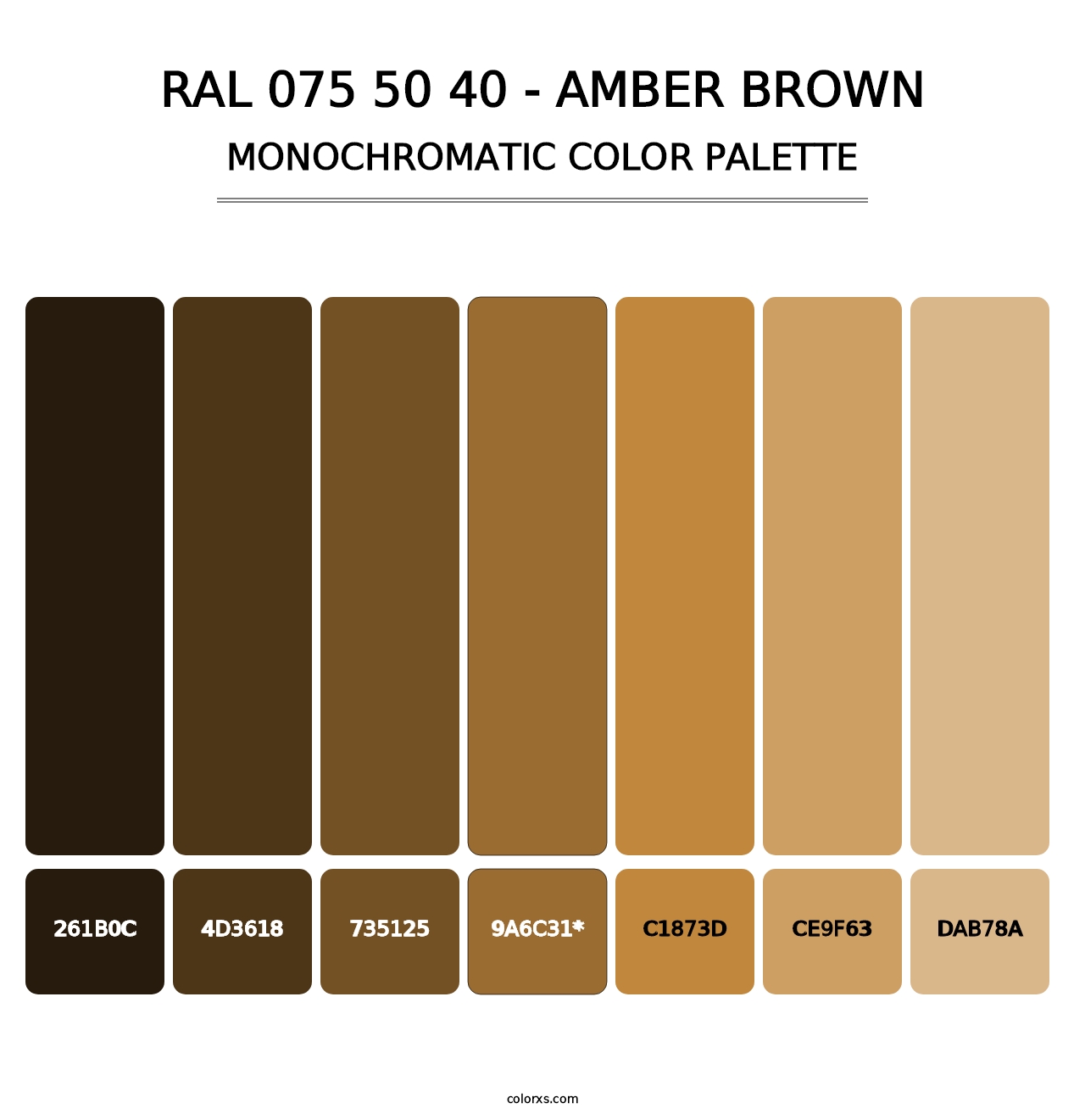 RAL 075 50 40 - Amber Brown - Monochromatic Color Palette