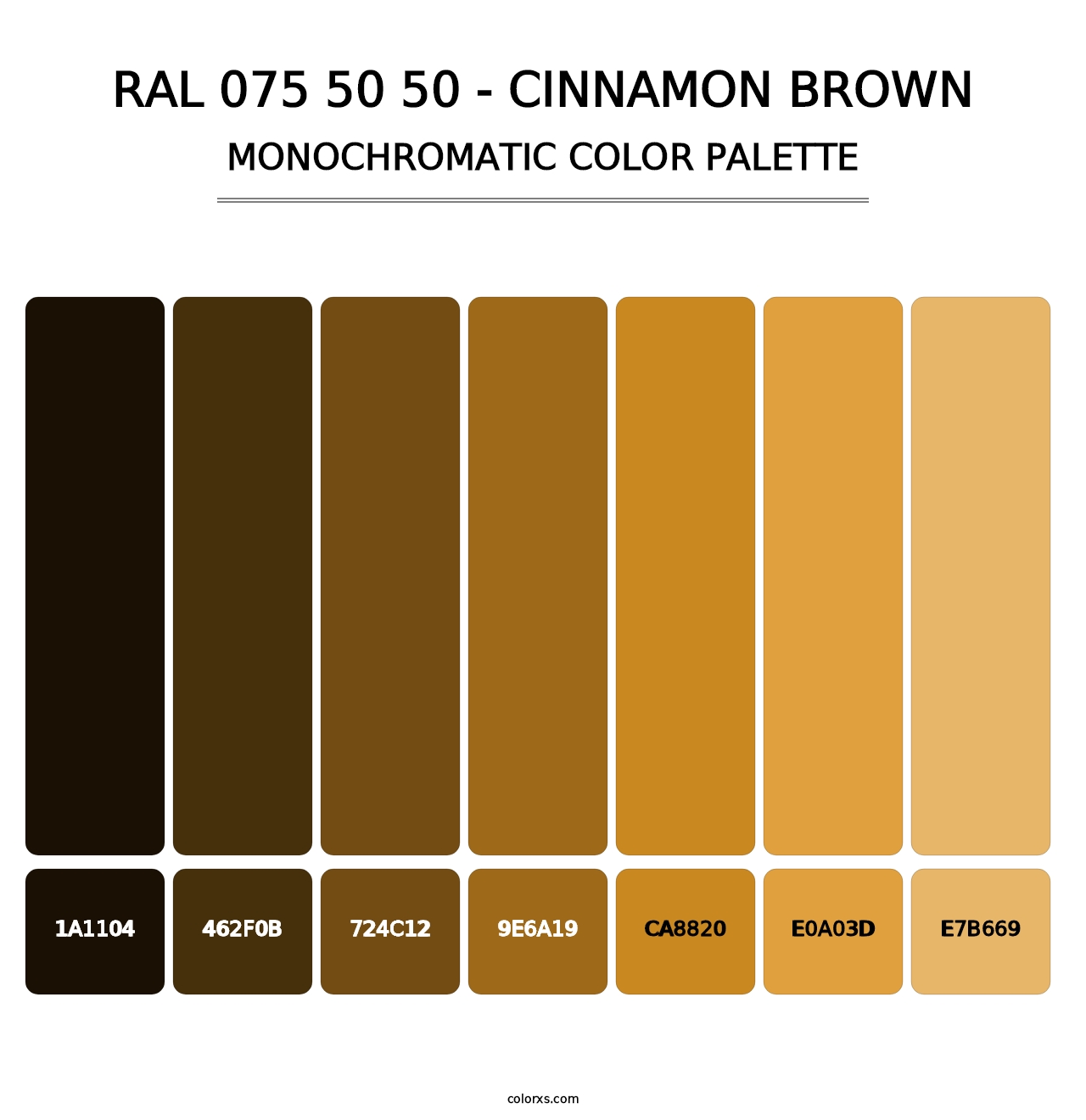 RAL 075 50 50 - Cinnamon Brown - Monochromatic Color Palette