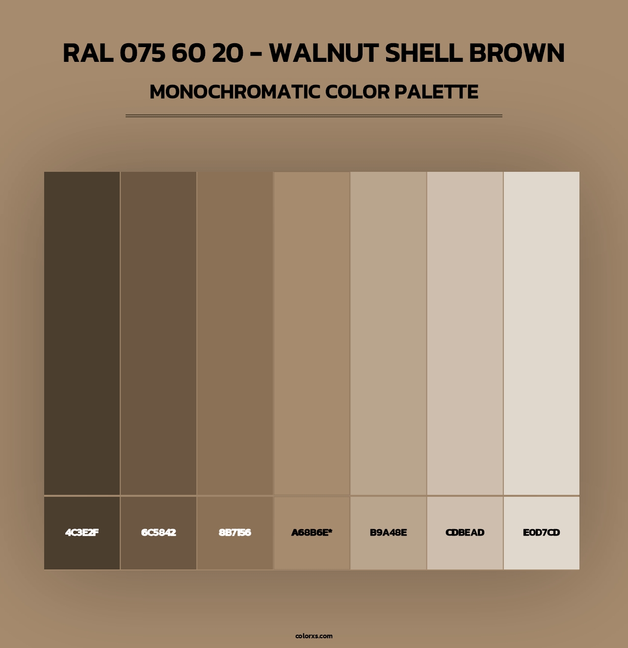 RAL 075 60 20 - Walnut Shell Brown - Monochromatic Color Palette