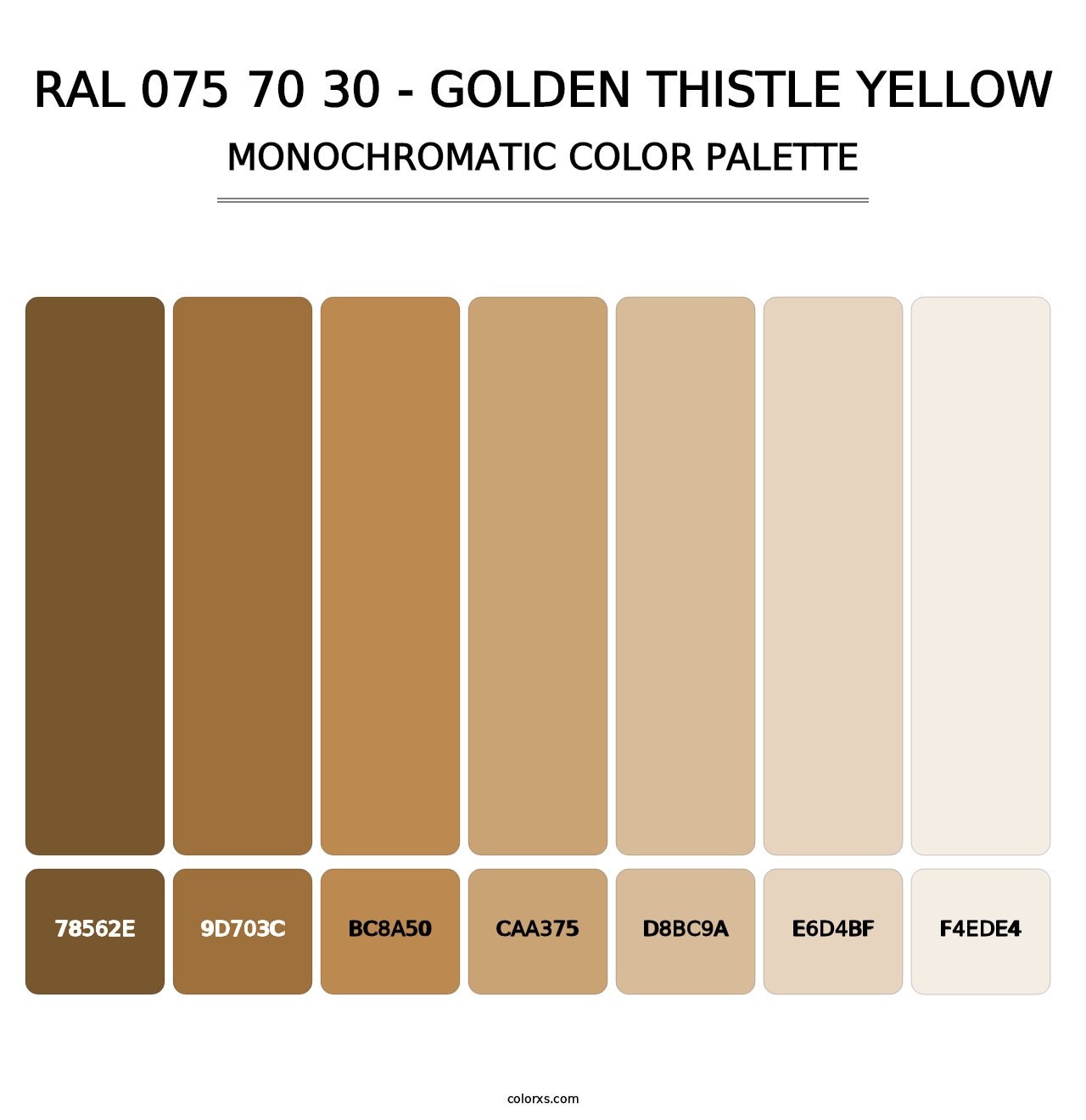 RAL 075 70 30 - Golden Thistle Yellow - Monochromatic Color Palette