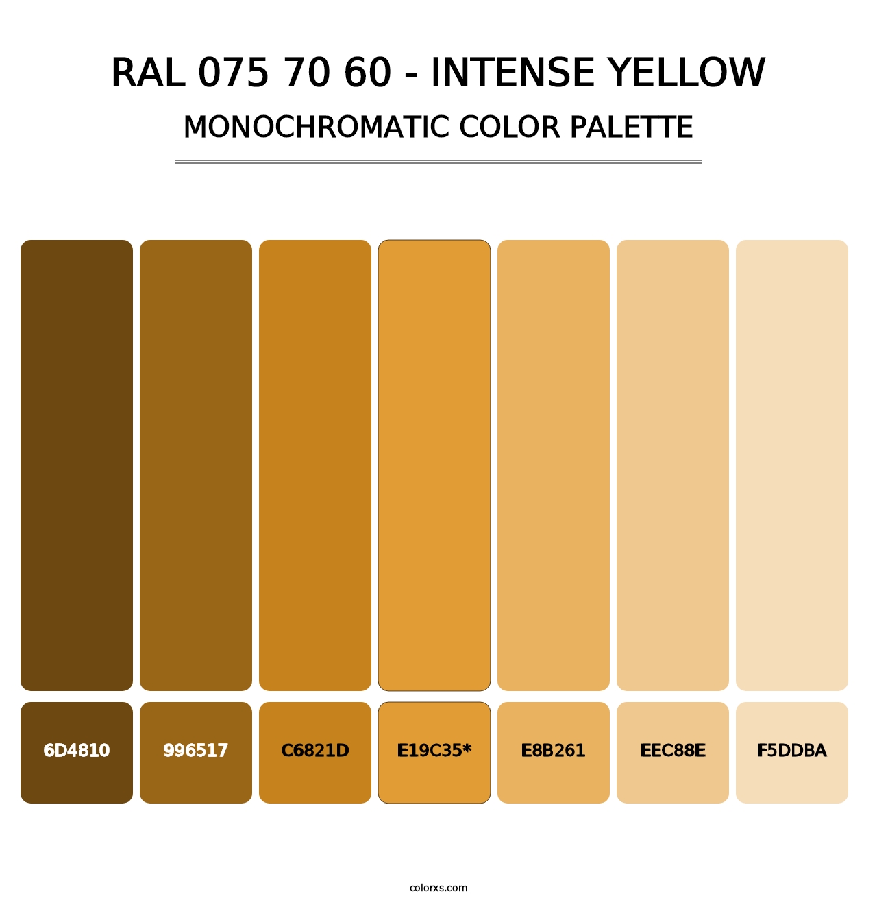 RAL 075 70 60 - Intense Yellow - Monochromatic Color Palette