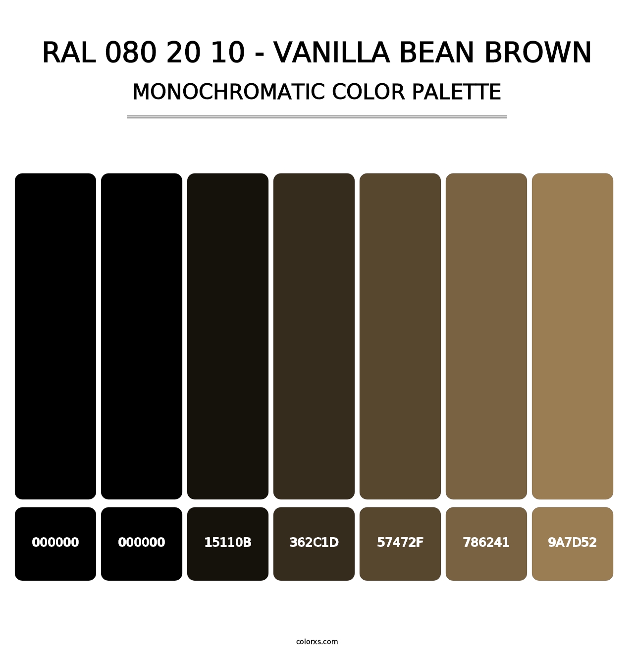RAL 080 20 10 - Vanilla Bean Brown - Monochromatic Color Palette