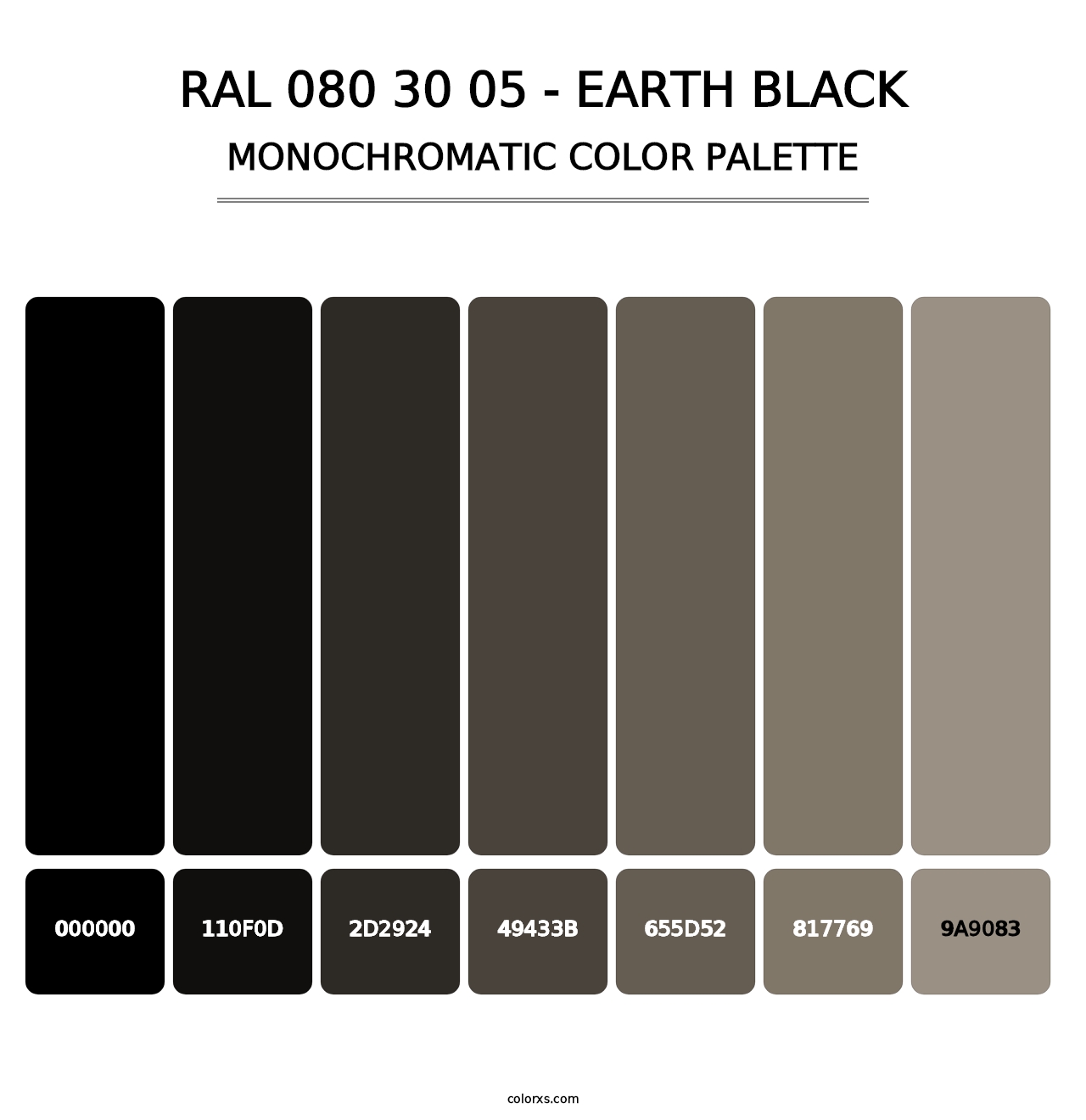 RAL 080 30 05 - Earth Black - Monochromatic Color Palette