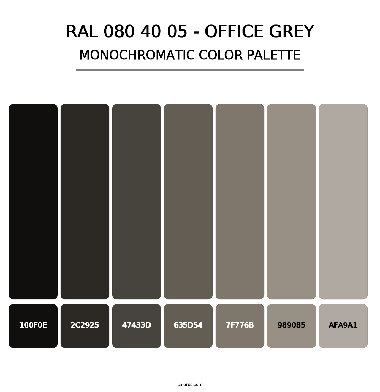 RAL 080 40 05 - Office Grey - Monochromatic Color Palette