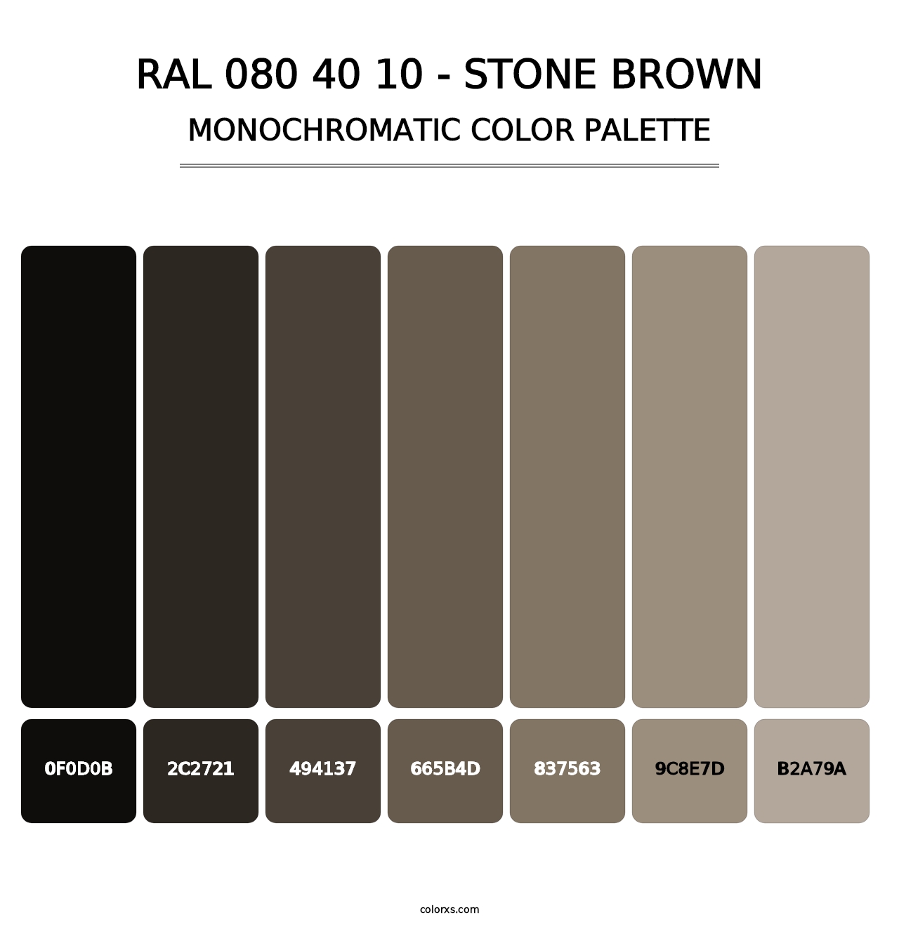RAL 080 40 10 - Stone Brown - Monochromatic Color Palette